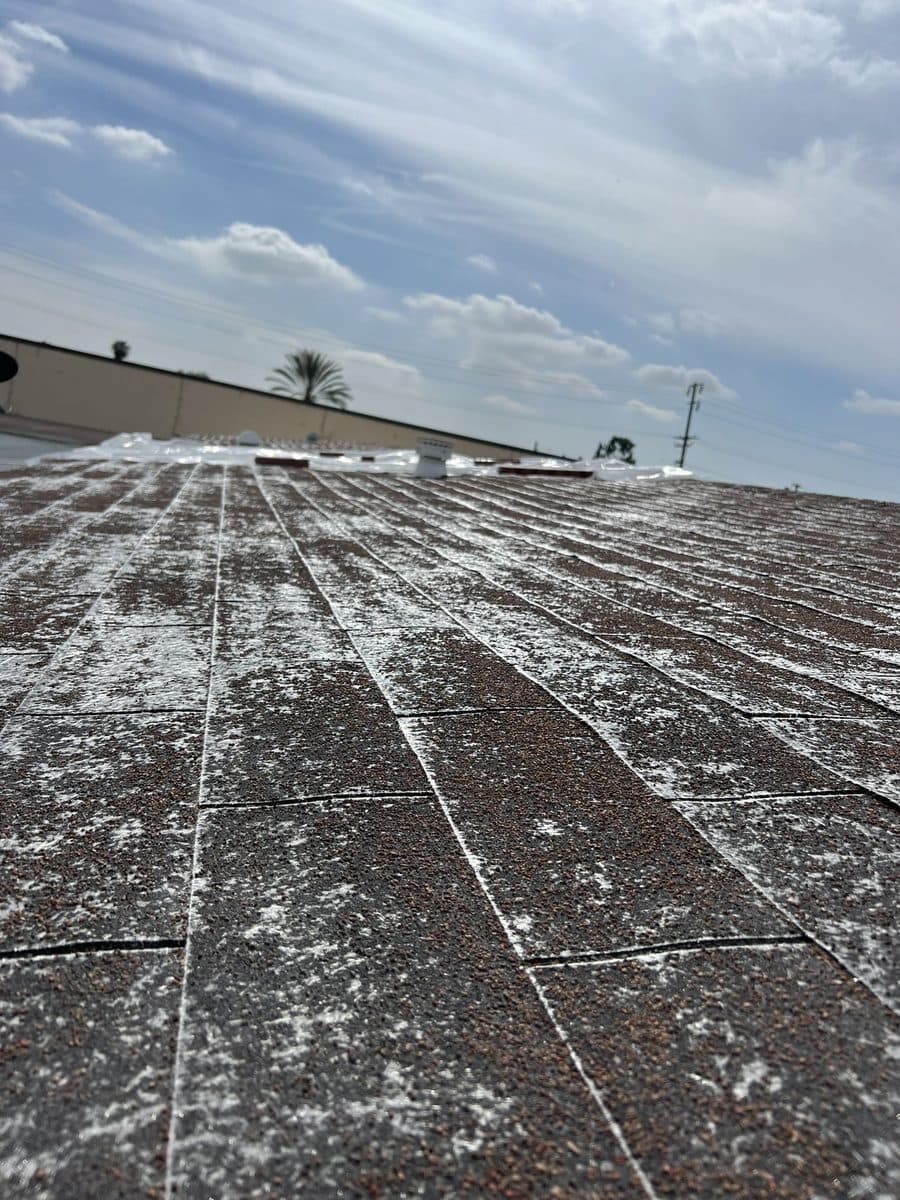 Close view of a weathered sloped roof surface with debris
